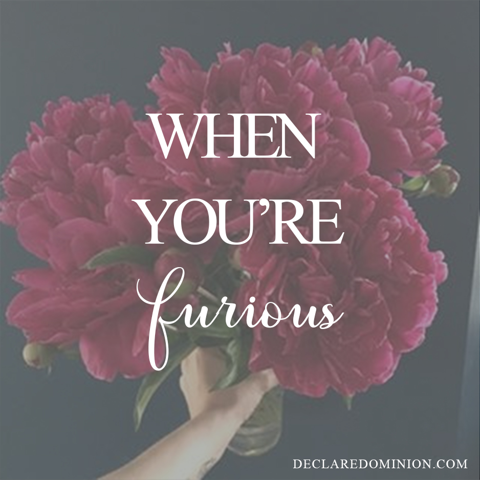 What to do when you're burning up with rage? Some surprising advice.