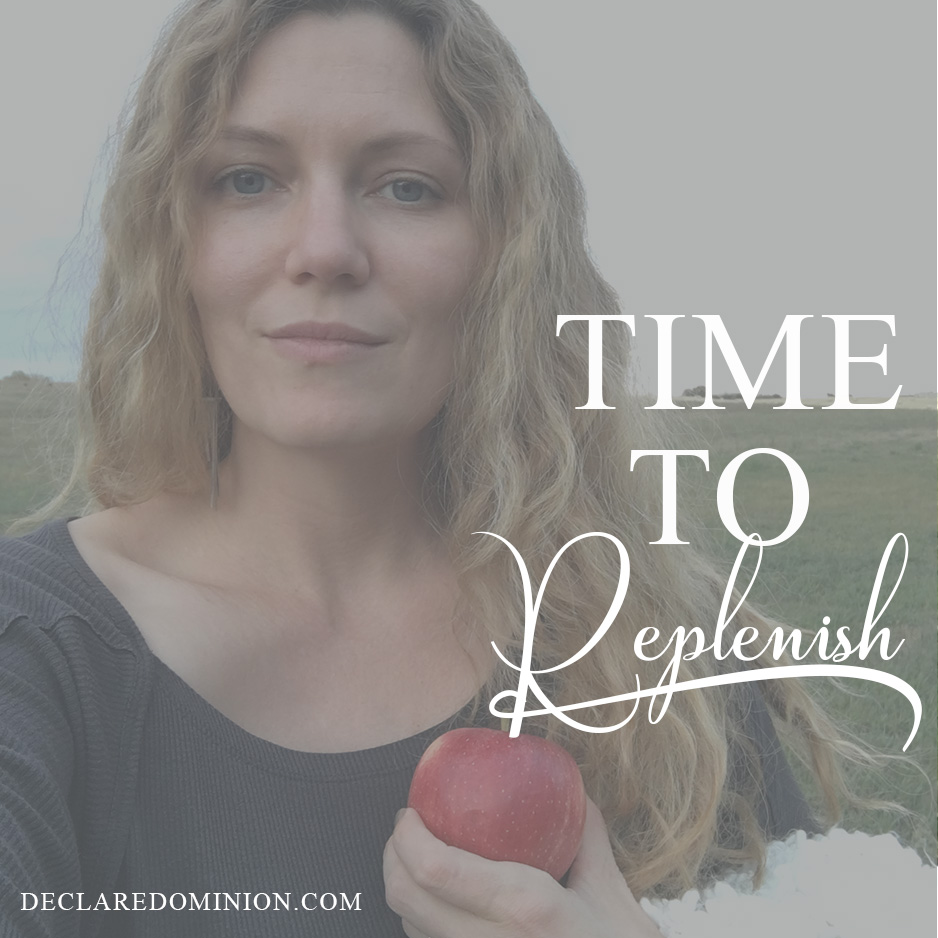 This time of year always makes me want to curl up on the couch with a blanket and PONDER things. Ponder them deeply, pensively, deliciously. This hasn't happened as much as I'd like (because life, and having children-- in fact, at this very moment the babies are yelling at each other upstairs and I just remembered the birthday party starts in 15 minutes and we haven't wrapped the gift yet) but even a few minutes of quietly keeping myself company this week yielded a huge epiphany. Or not so much an epiphany as a big fat bright orange sign (very autumnal, don't you think?) sitting right there in the path in front of me. It's been there for a while, but I've been averting my gaze. It says, "YOU'RE RUNNING LOW. TIME TO FILL UP."